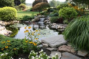 Landscaping Services in Richmond