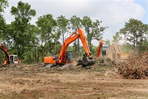 Land Clearing Services