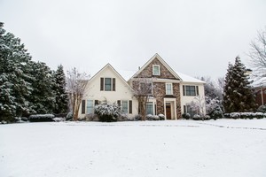 Landscaping Rain or Snow Effects