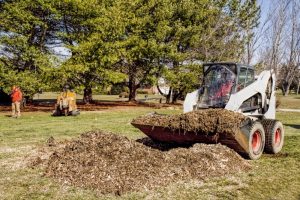 Yard Debris Removal in Richmond