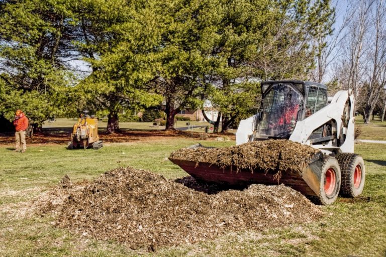 Common Benefits of Yard Debris Removal - SS Grading