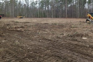 land clearing