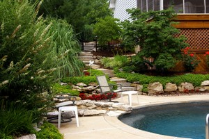 pool landscaping